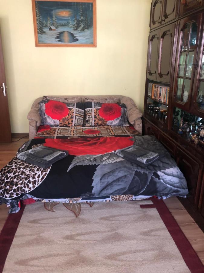 Lupeni  La Symo Apartament Straja Lupeni מראה חיצוני תמונה