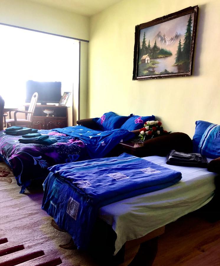 Lupeni  La Symo Apartament Straja Lupeni מראה חיצוני תמונה