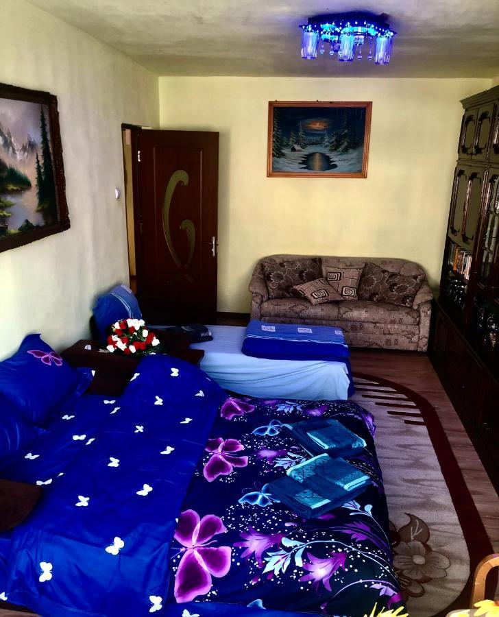 Lupeni  La Symo Apartament Straja Lupeni מראה חיצוני תמונה