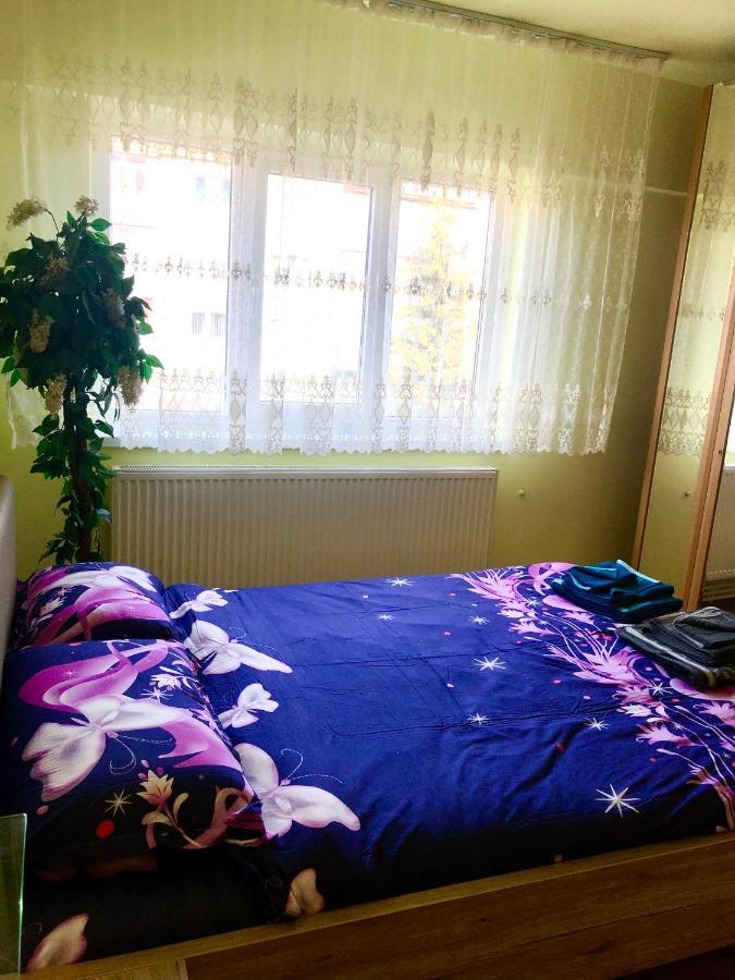 Lupeni  La Symo Apartament Straja Lupeni מראה חיצוני תמונה